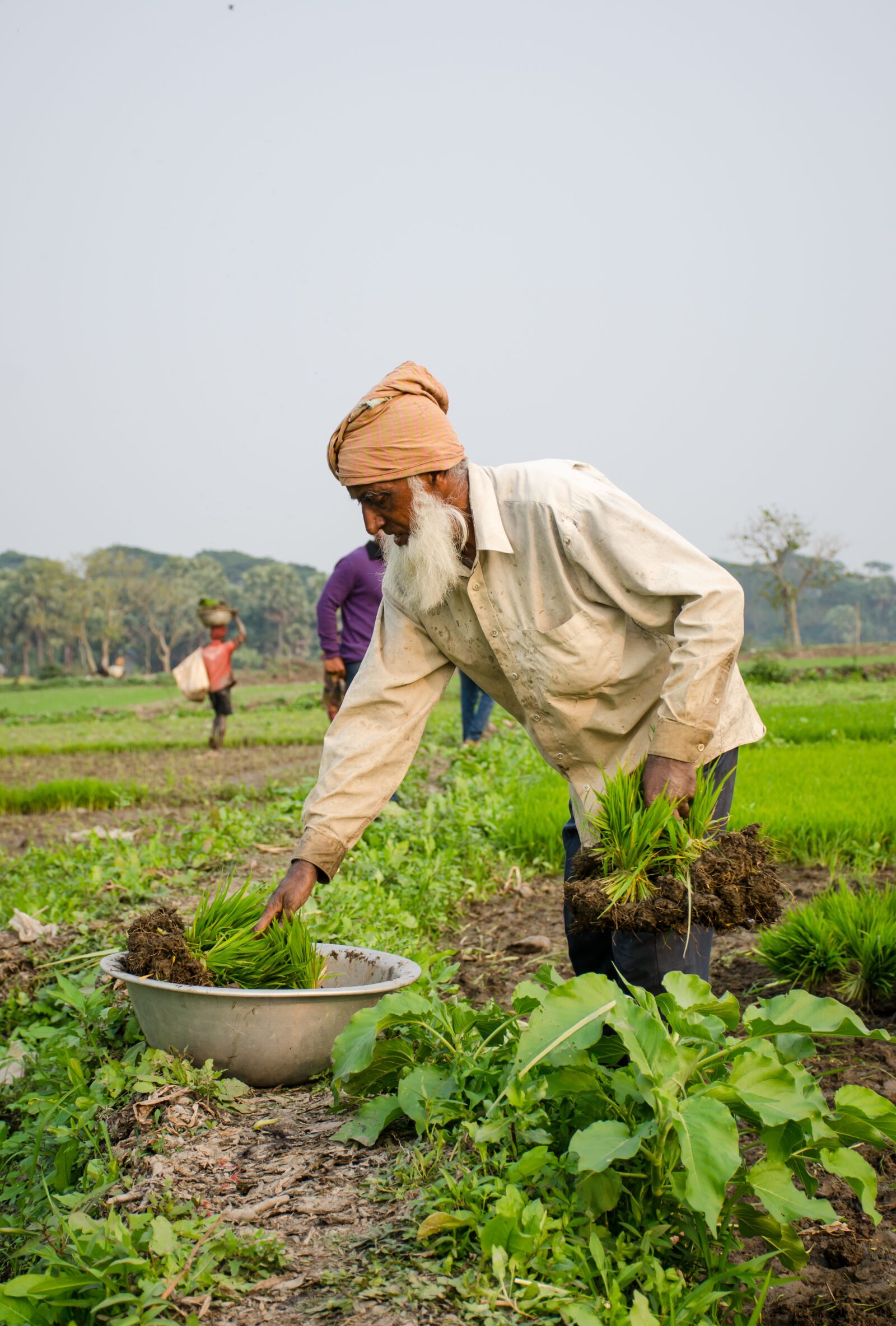Nikon D7000 sample photo. Working, people, farming photography