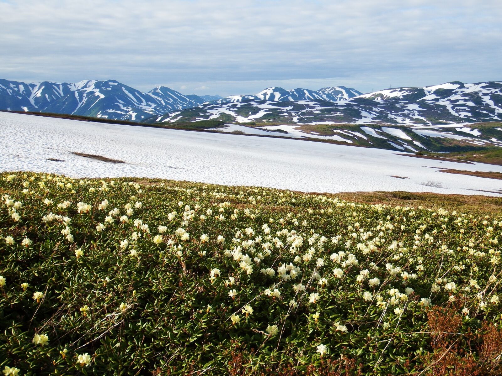 Fujifilm FinePix S1 sample photo. Mountain plateau, summer, winter photography
