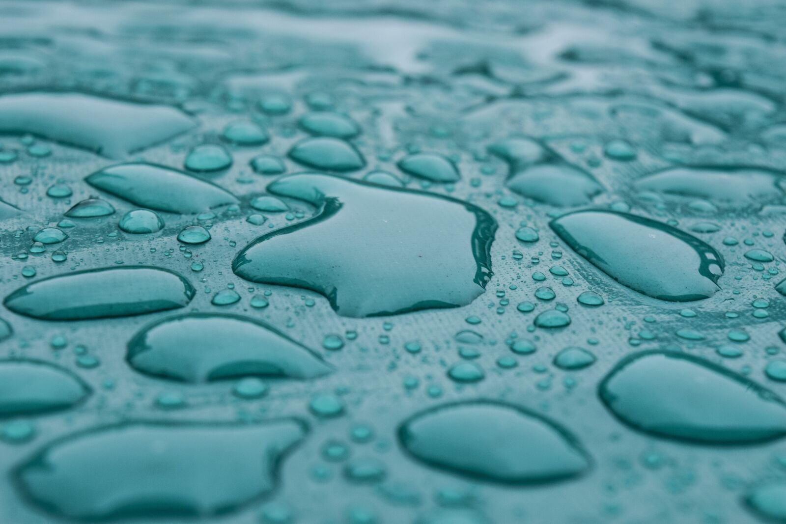 Nikon D3300 sample photo. Water, nature, wet photography