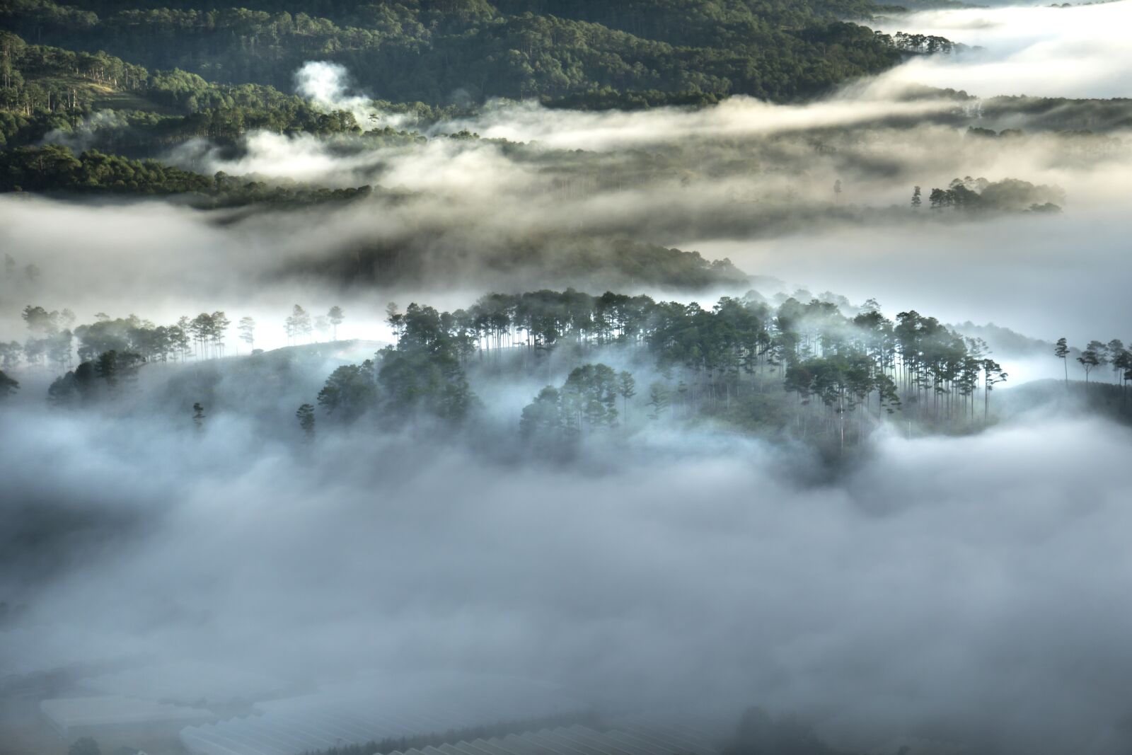 Sony a6500 + Sony Vario-Tessar T* E 16-70mm F4 ZA OSS sample photo. Da lat, vietnam, planting photography