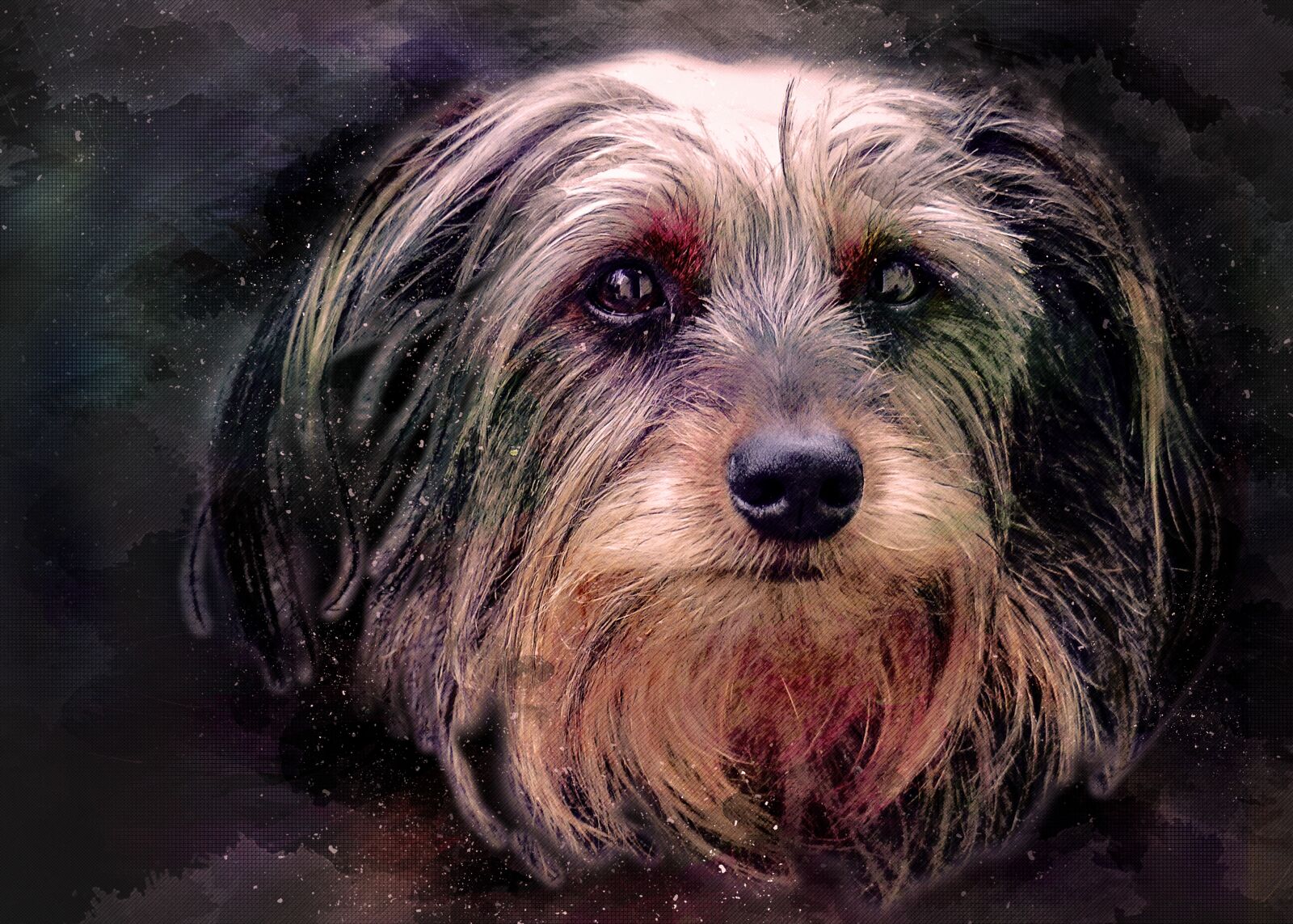 Panasonic Lumix DMC-FZ200 sample photo. Dog, small, head photography