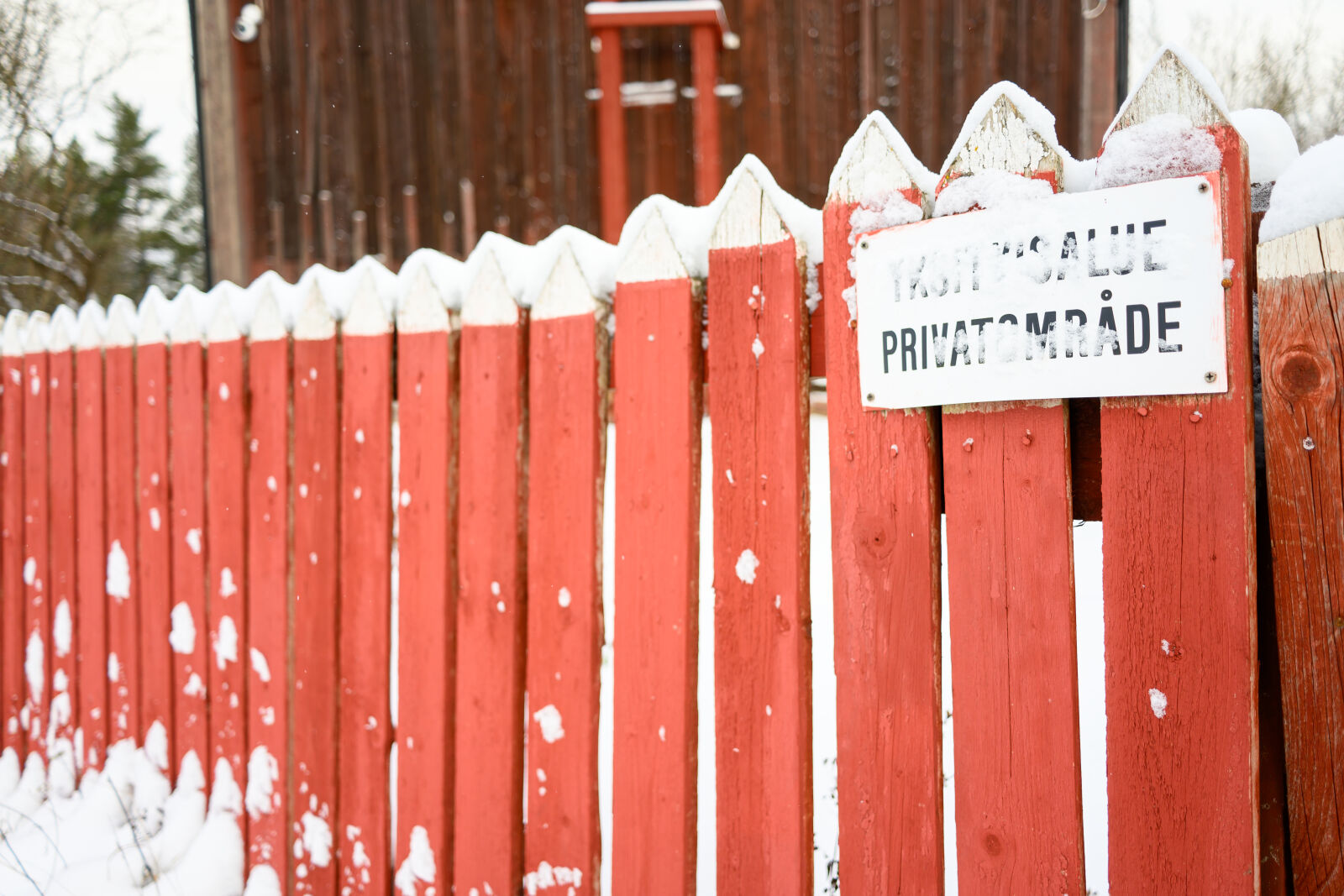 Nikon Nikkor Z 26mm F2.8 sample photo. Private fence snow photography