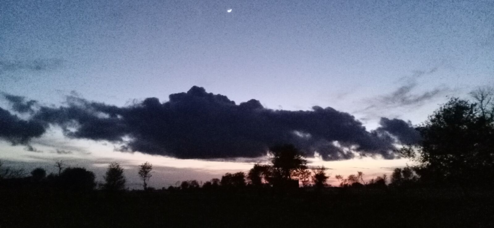 vivo 1907_19 sample photo. Natue, captured, by photography