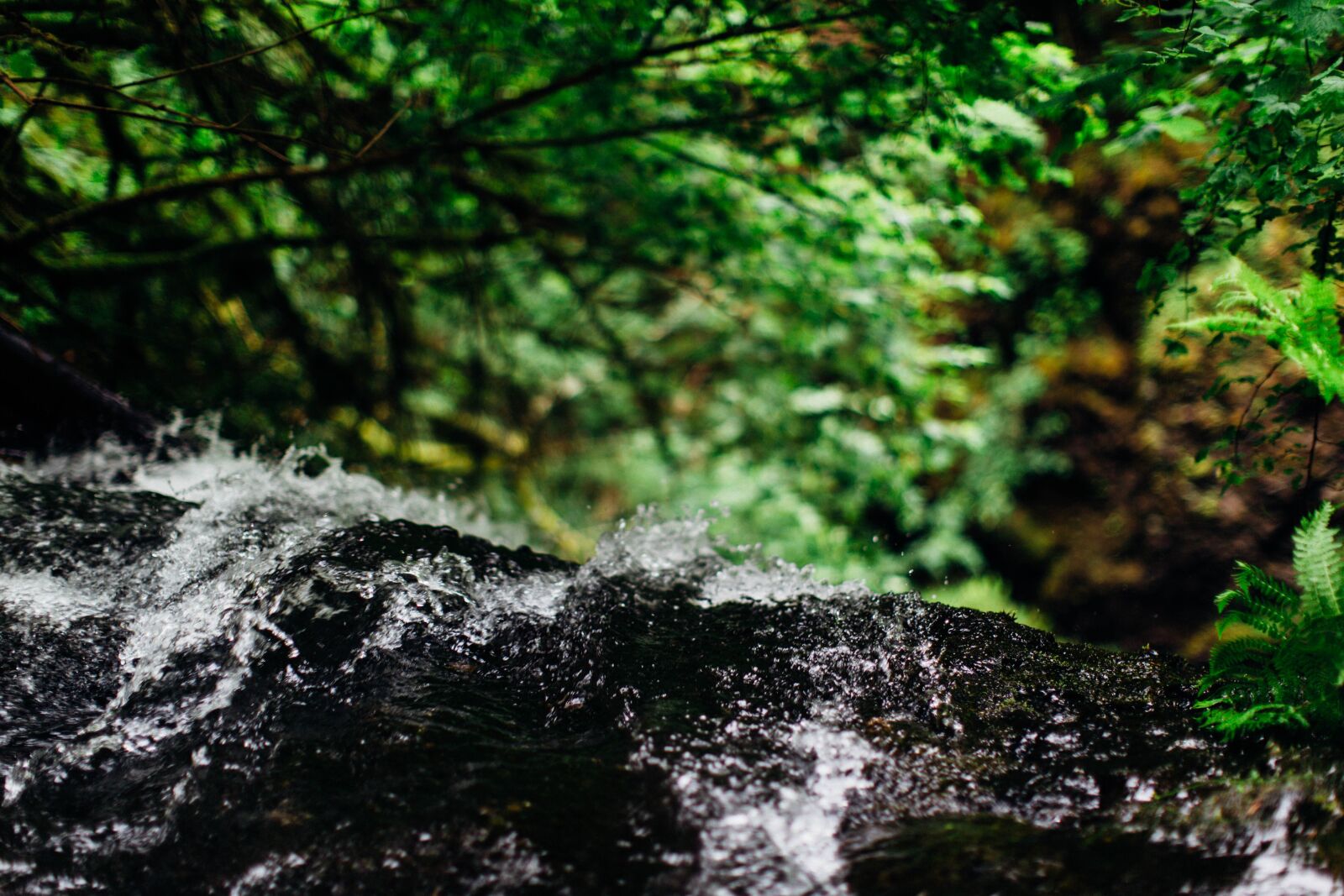 Canon EF 50mm F1.2L USM sample photo. Nature, waterfall, columbia gorge photography