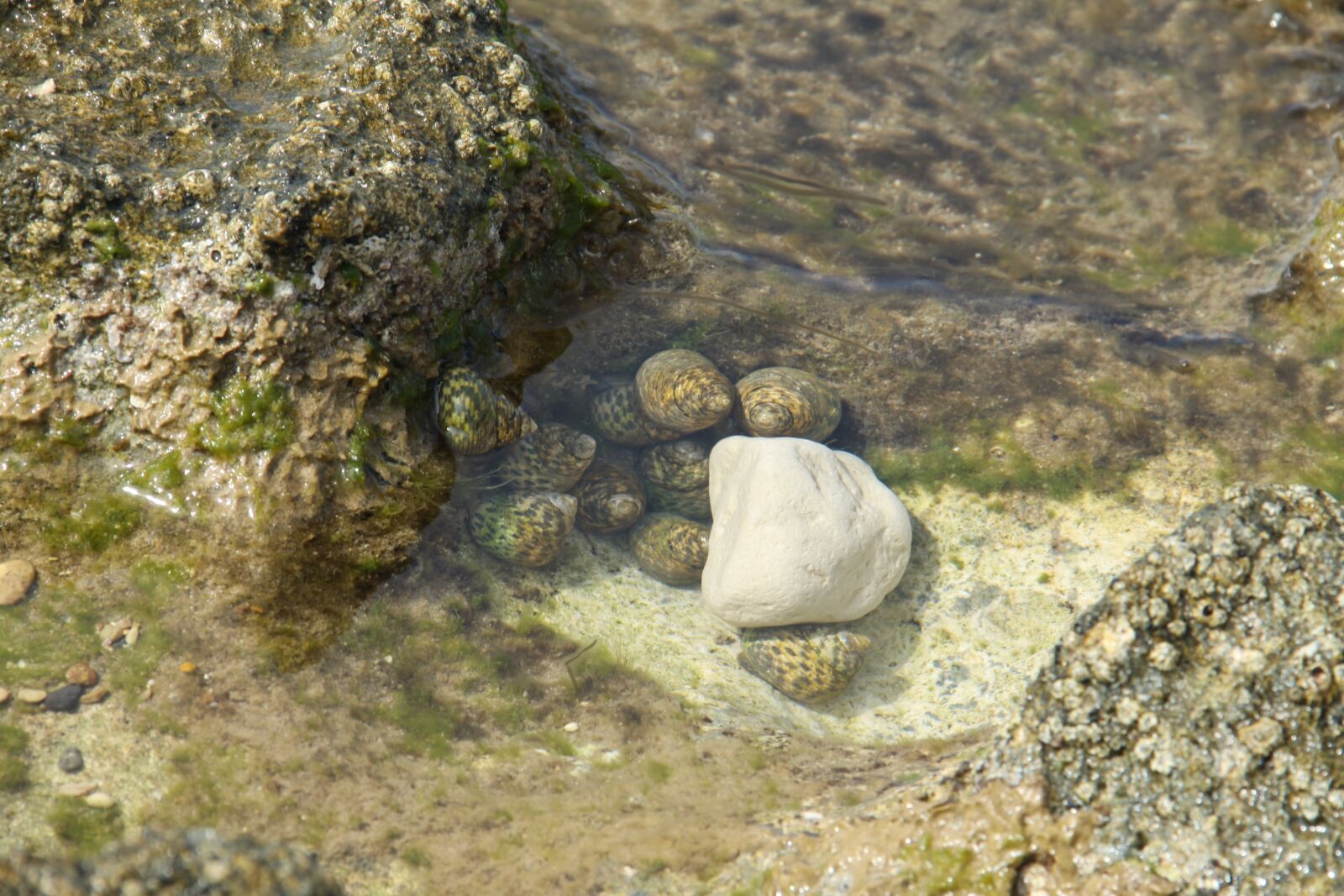 Canon EOS 50D sample photo. Seashore, haifa, israel photography