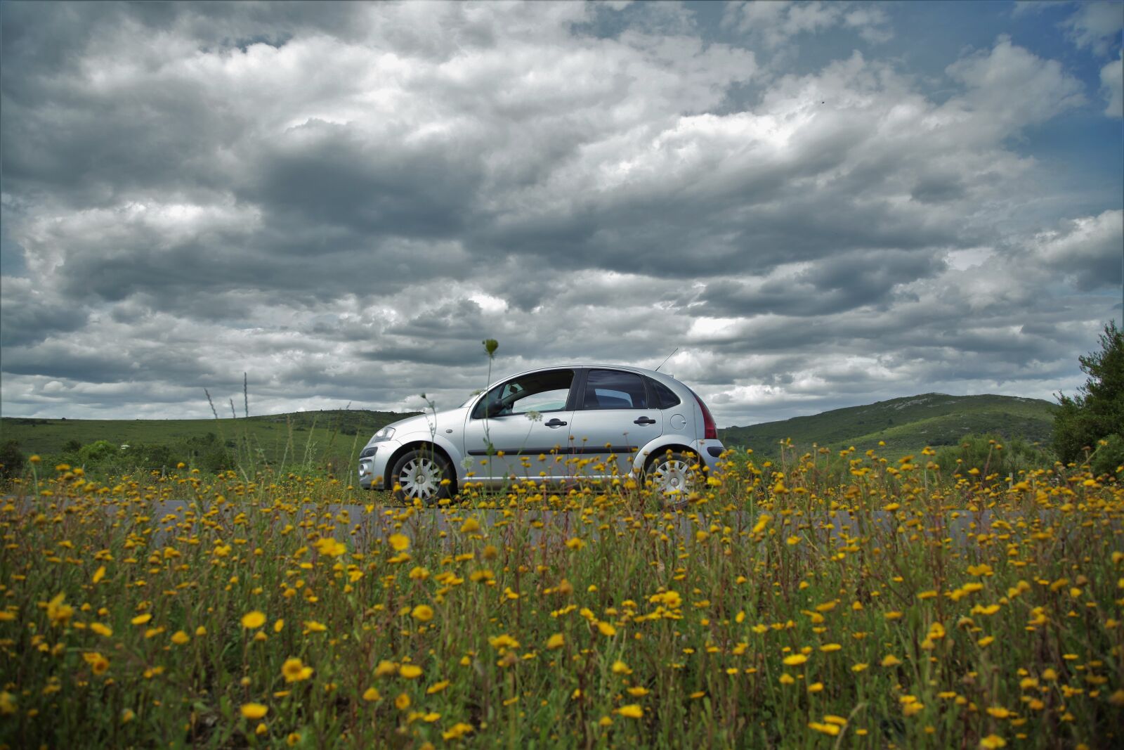 Canon EOS 5D Mark II sample photo. Landscape, nature, lawn photography