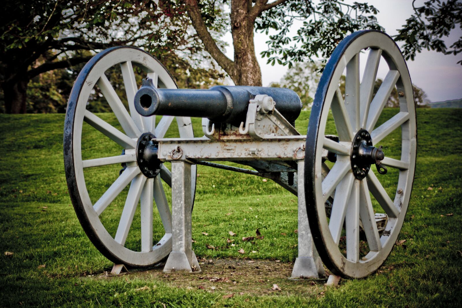 Canon EOS 70D sample photo. Cannon, relic, historical photography