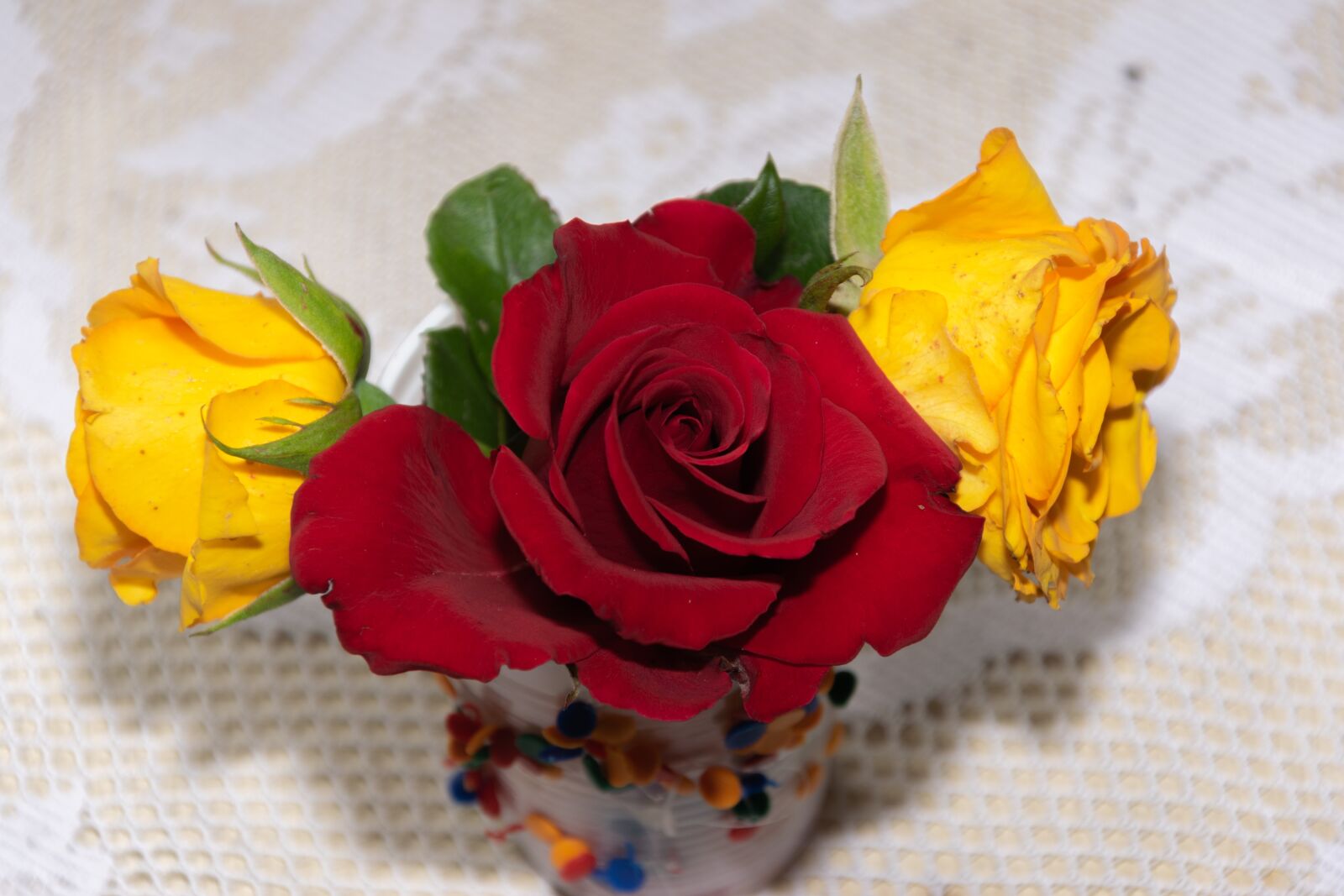 Nikon D3300 sample photo. Roses, rose, flower photography