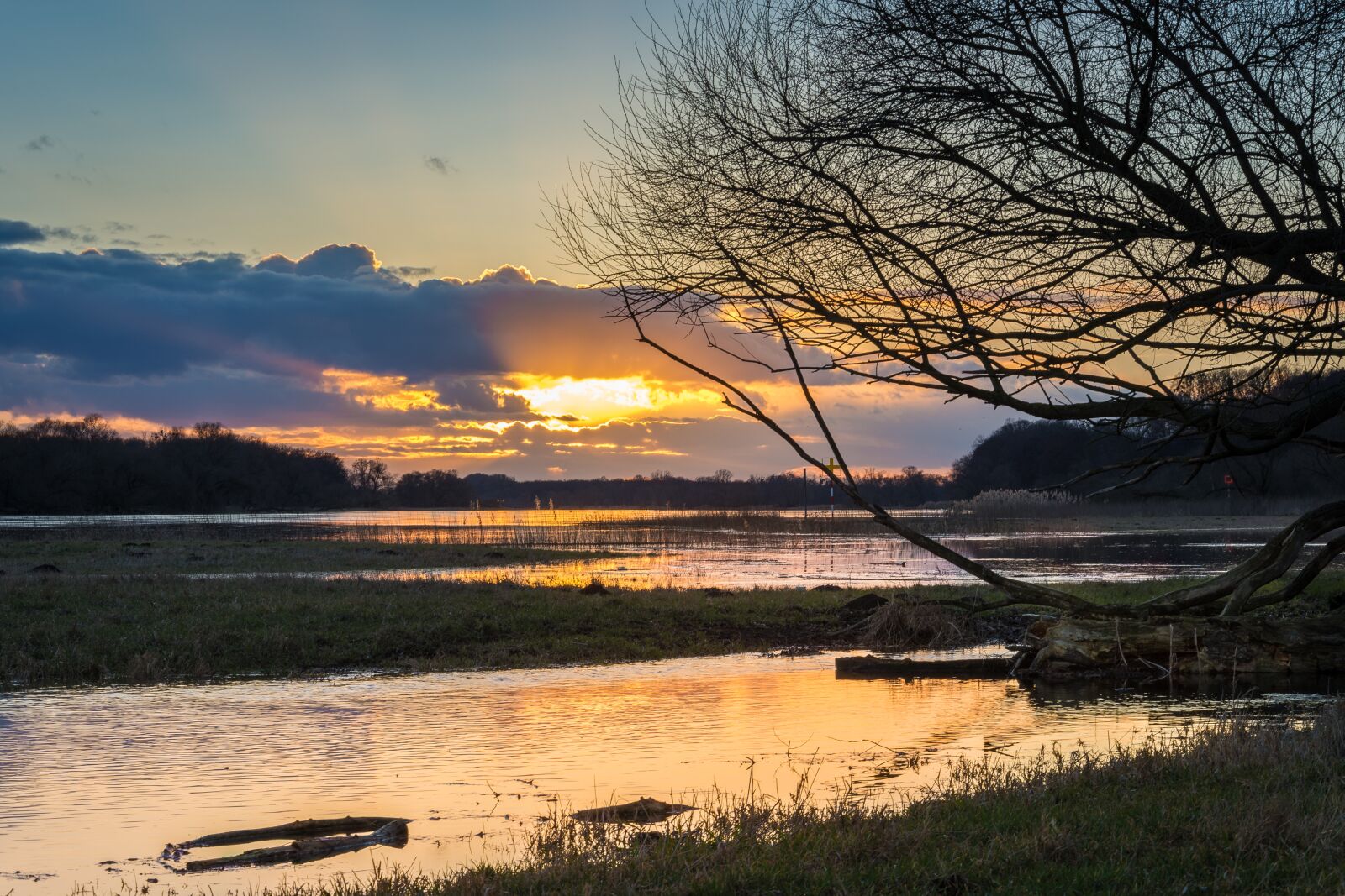 Nikon D7200 sample photo. Elbe, high water, evening photography