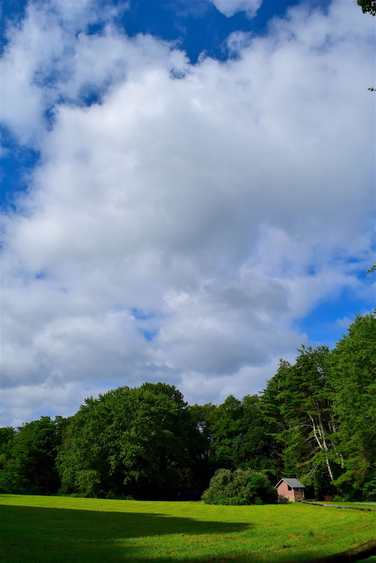 Nikon D3300 sample photo. Field, sky, sunlight photography