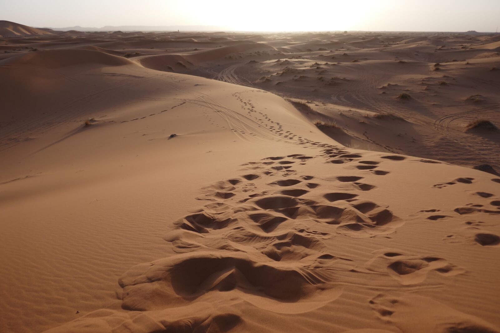 Panasonic DMC-TZ101 sample photo. Desert, morocco, sunset photography