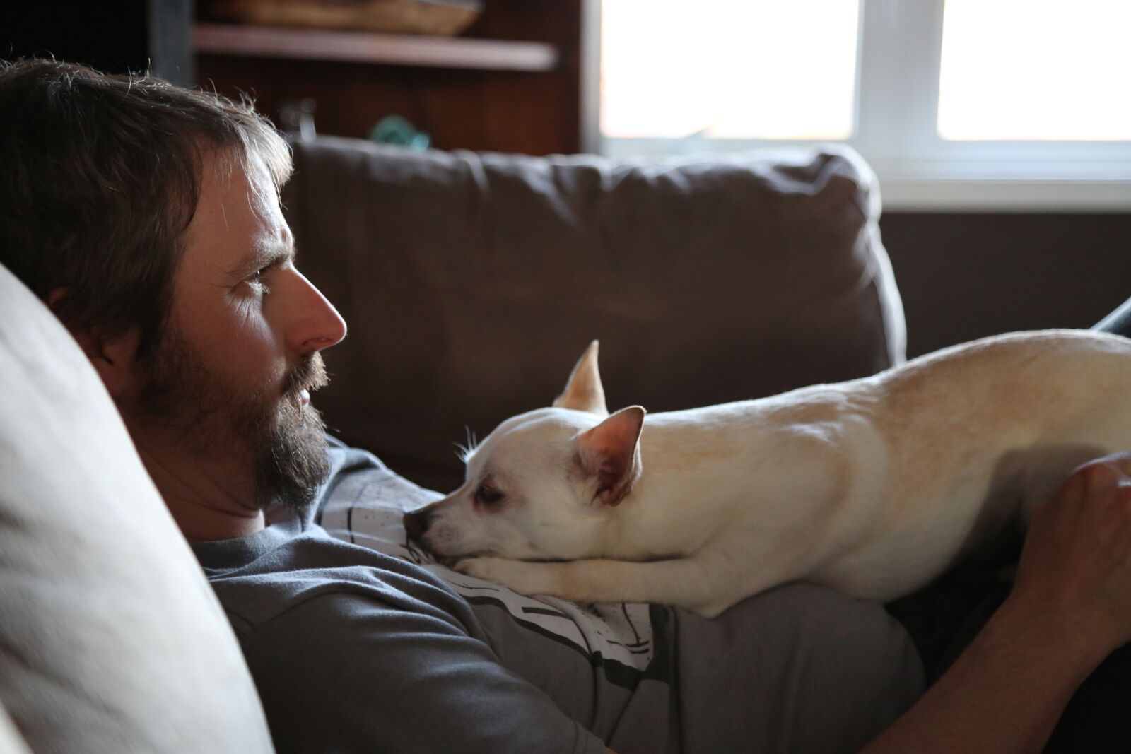 Canon EF 24-105mm F4L IS USM sample photo. Father, dog, chill photography