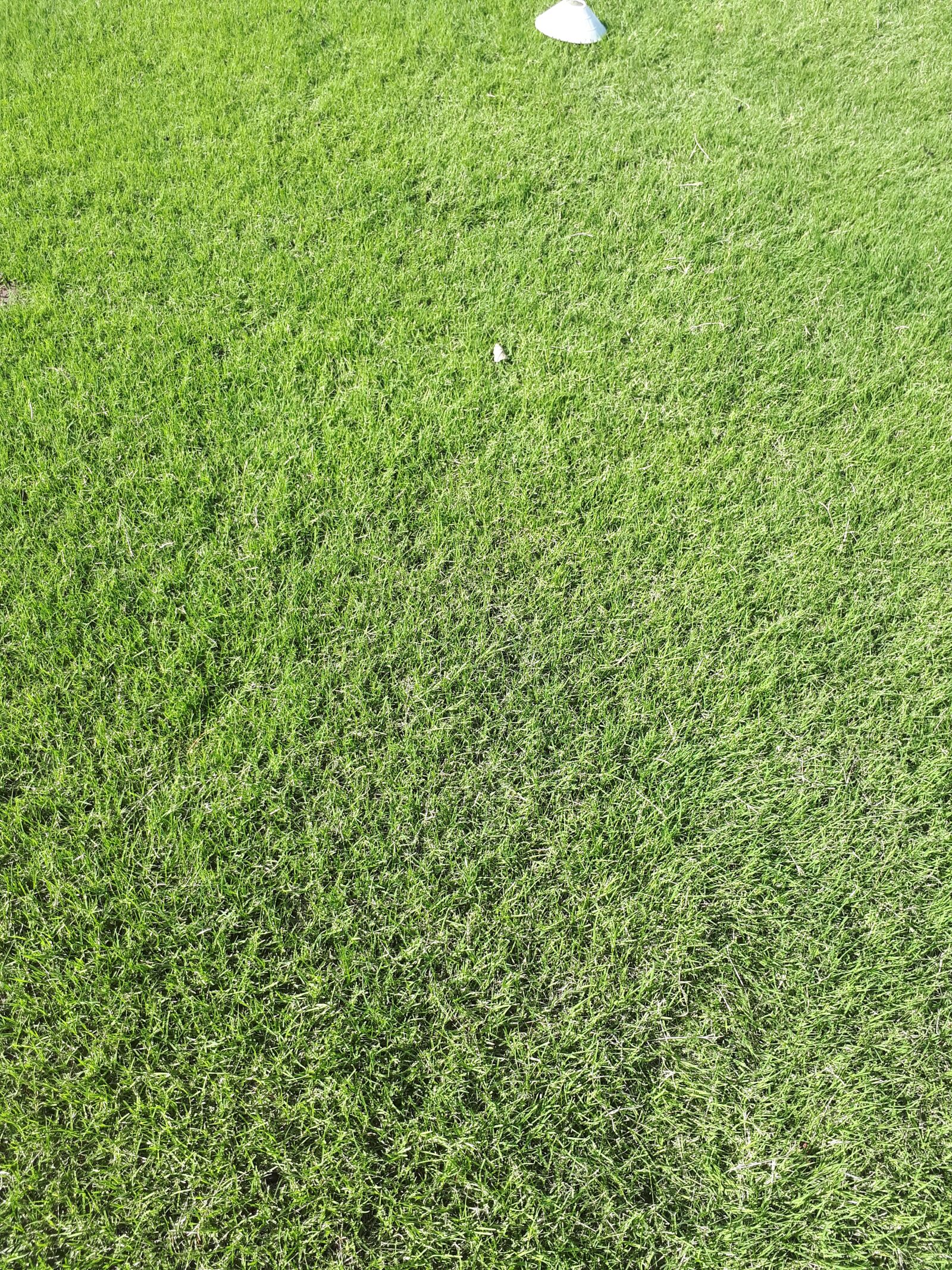 Samsung Galaxy A5(2017) sample photo. Futbol, entrenamiento, equipo photography