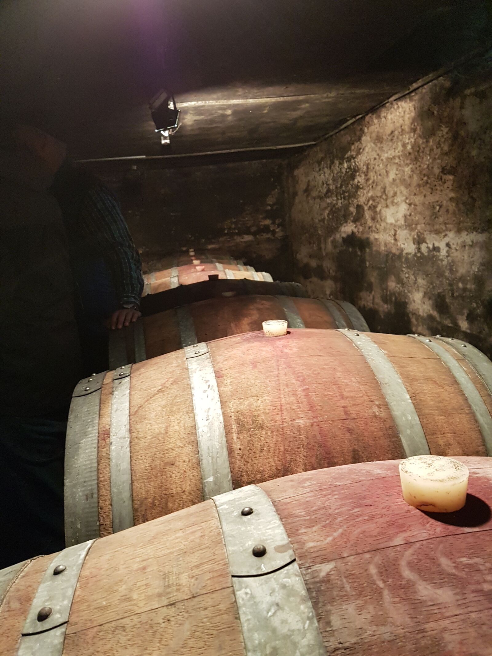 Samsung Galaxy S7 sample photo. Wine cellar, wooden barrels photography