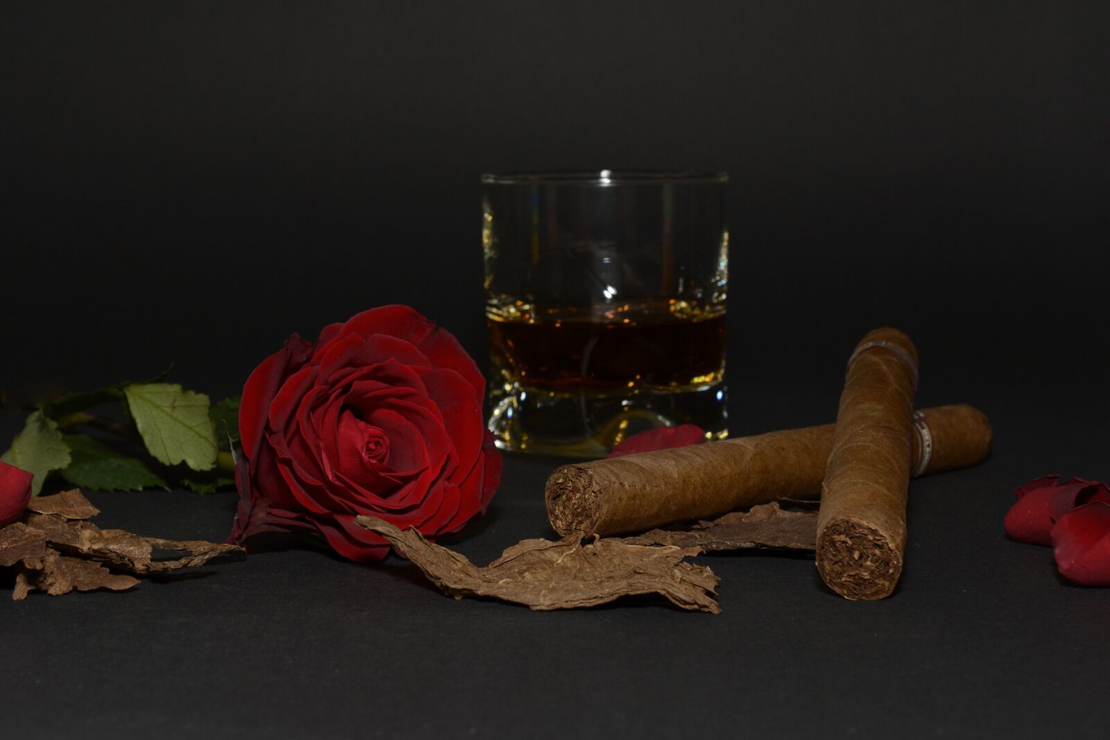 Nikon D7100 sample photo. Rose, red rose, cigar photography