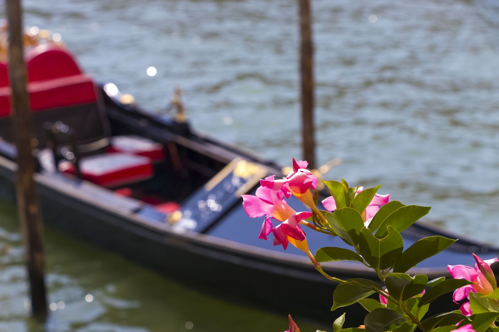 Canon EOS 80D sample photo. Venice, italy, architecture photography