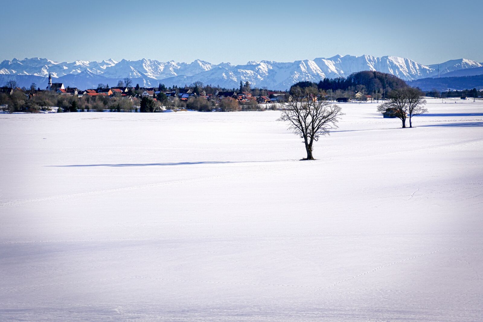 Panasonic Lumix DMC-GX8 sample photo. Snow, field, winter photography