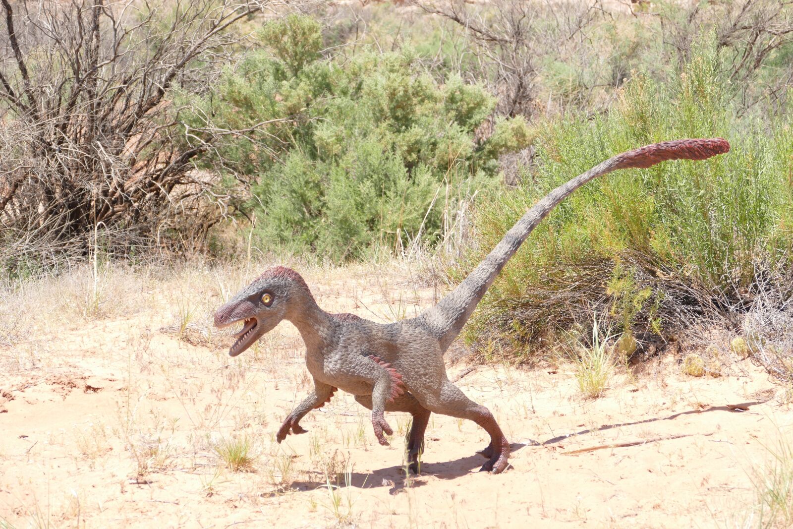 Panasonic Lumix DMC-FZ1000 sample photo. Dinosaur, raptor, velociraptor photography