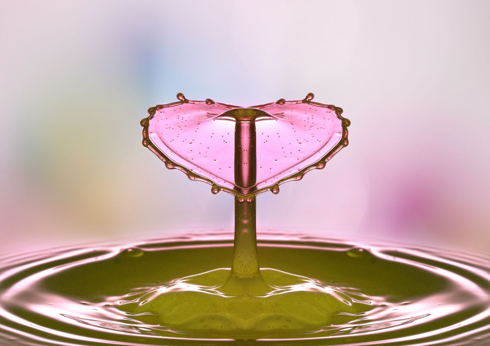 Sony SLT-A77 sample photo. Drop of water, drip photography