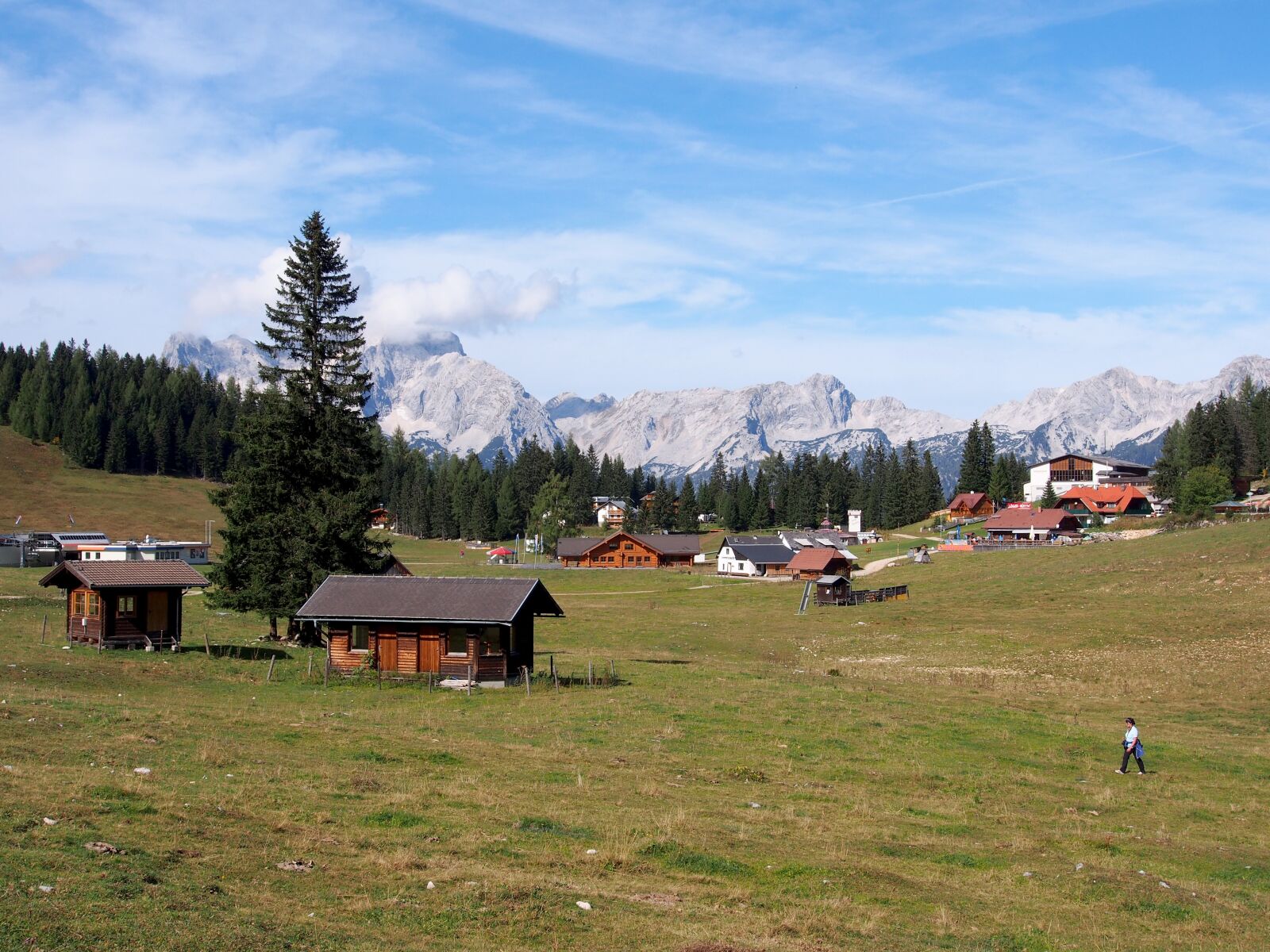 OLYMPUS M.12-50mm F3.5-6.3 sample photo. Alm, mountains, meadow photography