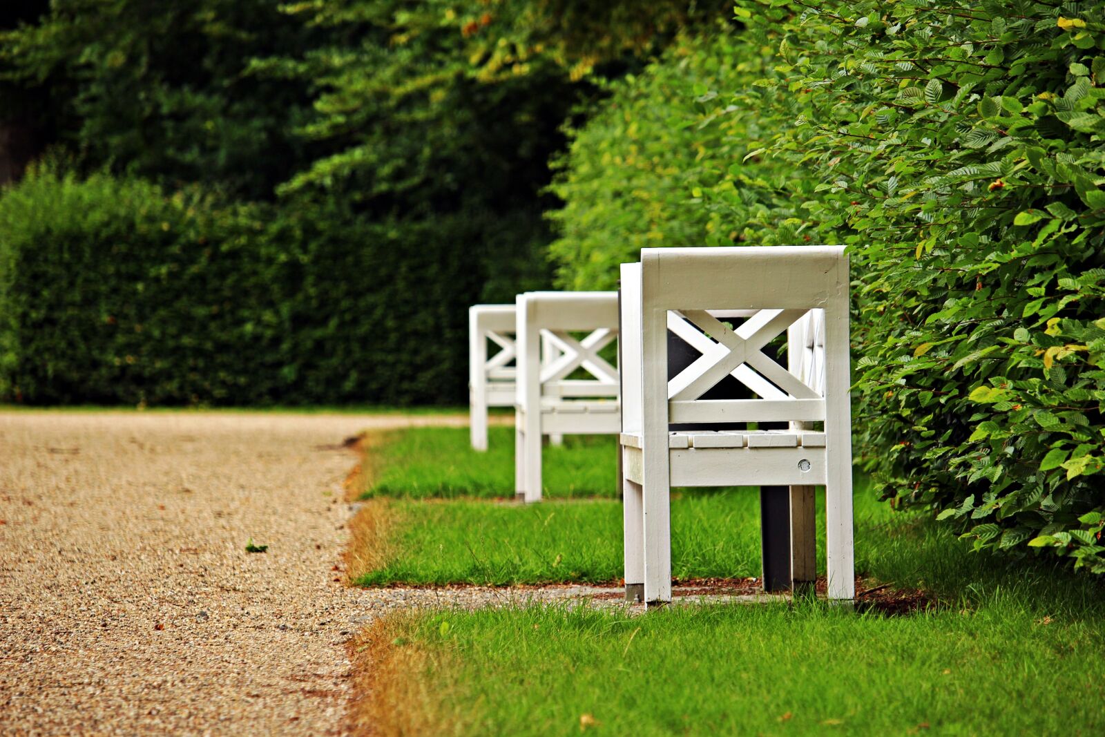 Canon EOS 100D (EOS Rebel SL1 / EOS Kiss X7) sample photo. Bank, castle park, ludwigslust-parchim photography