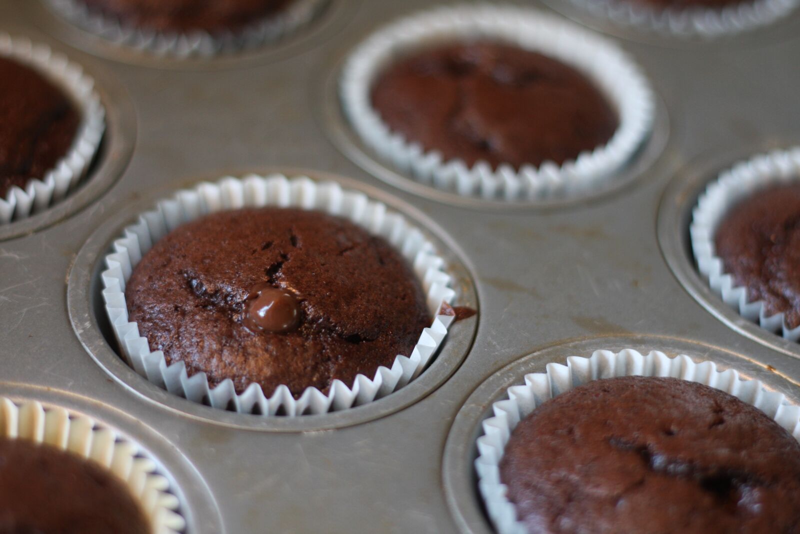Canon EOS 40D sample photo. Baking, cupcake, chocolate photography