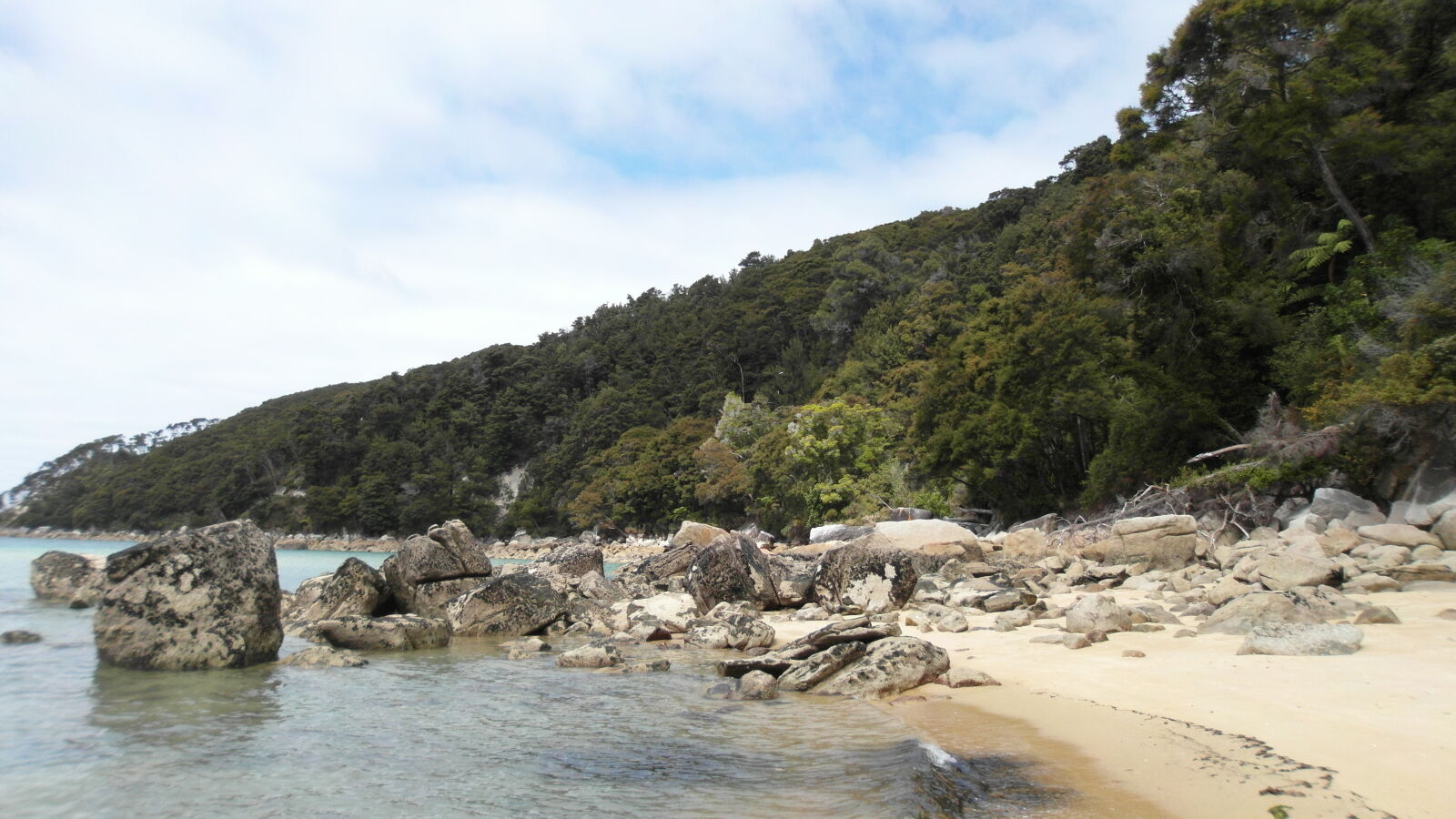 Samsung ST700 sample photo. Beach, coast, forest, new photography
