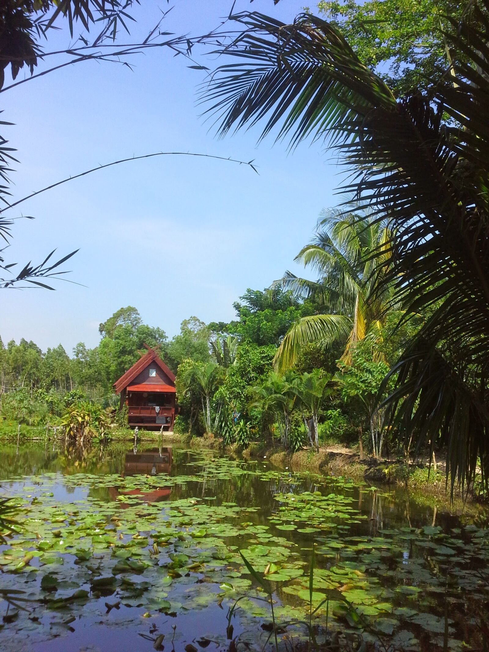 Samsung Galaxy Note 10.1 sample photo