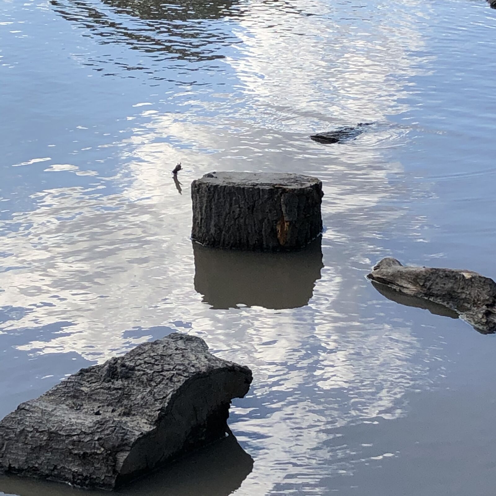 iPhone 8 back camera 3.99mm f/1.8 sample photo. Water, reflection, nature photography