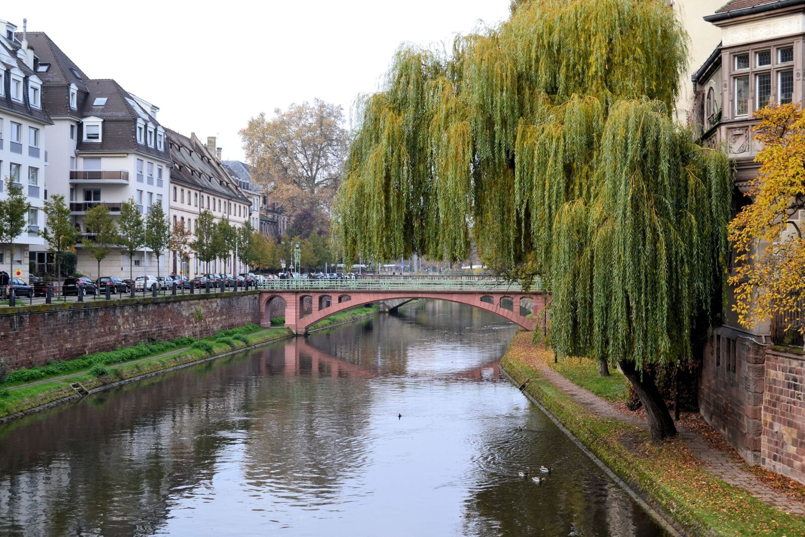 Nikon D3100 sample photo. Strasbourg, river, france photography