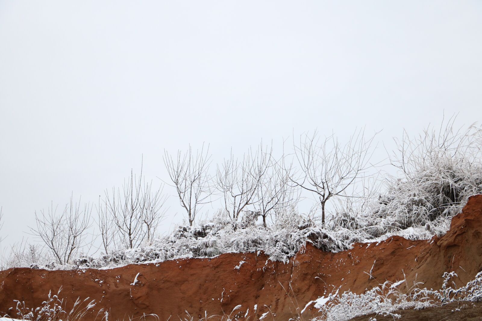 Canon EOS 760D (EOS Rebel T6s / EOS 8000D) + Canon EF-S 18-135mm F3.5-5.6 IS STM sample photo. Snow, winter, white photography