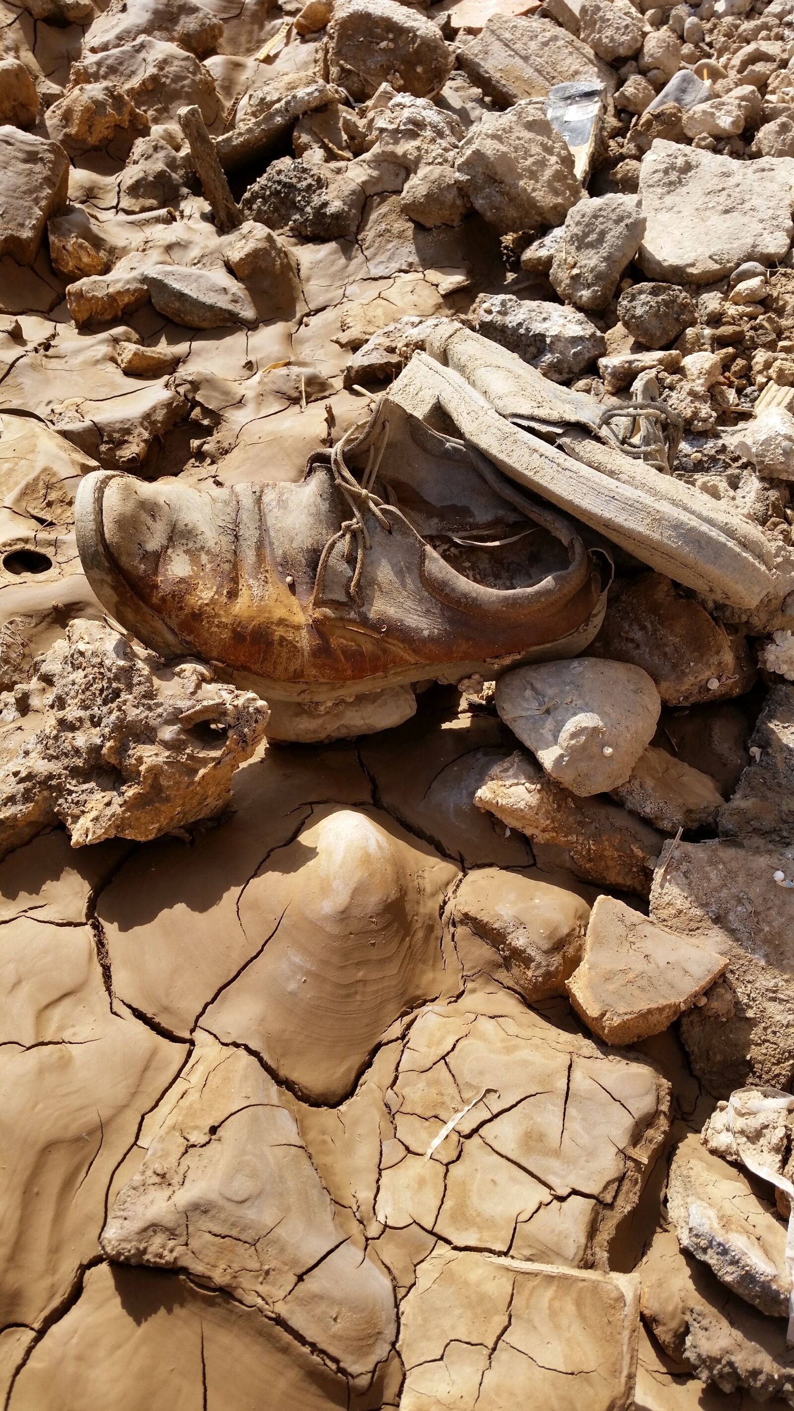 Samsung Galaxy S5 sample photo. Old shoe, brown, drought photography