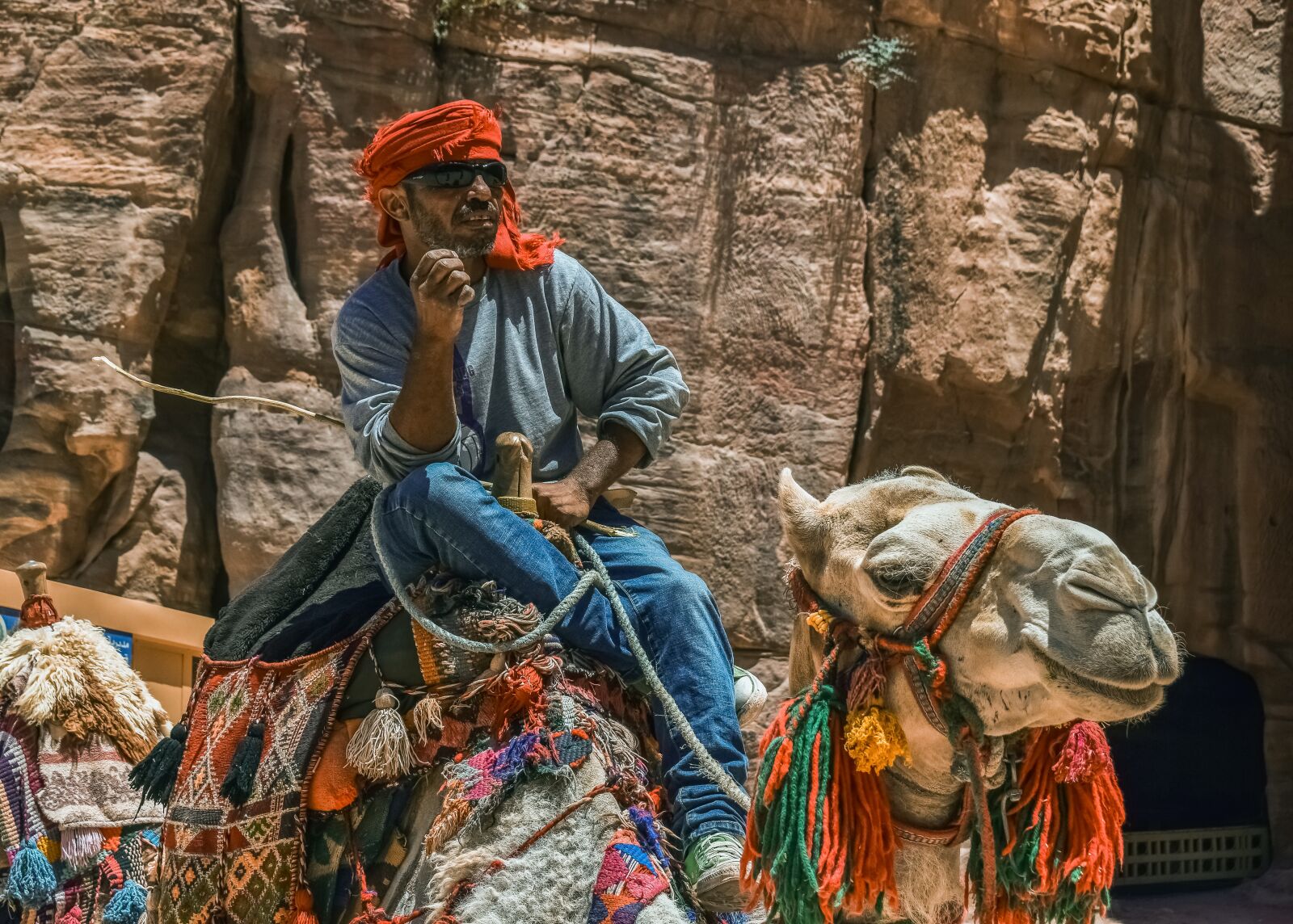 Nikon D3300 sample photo. Camel, camelliers, al siq photography