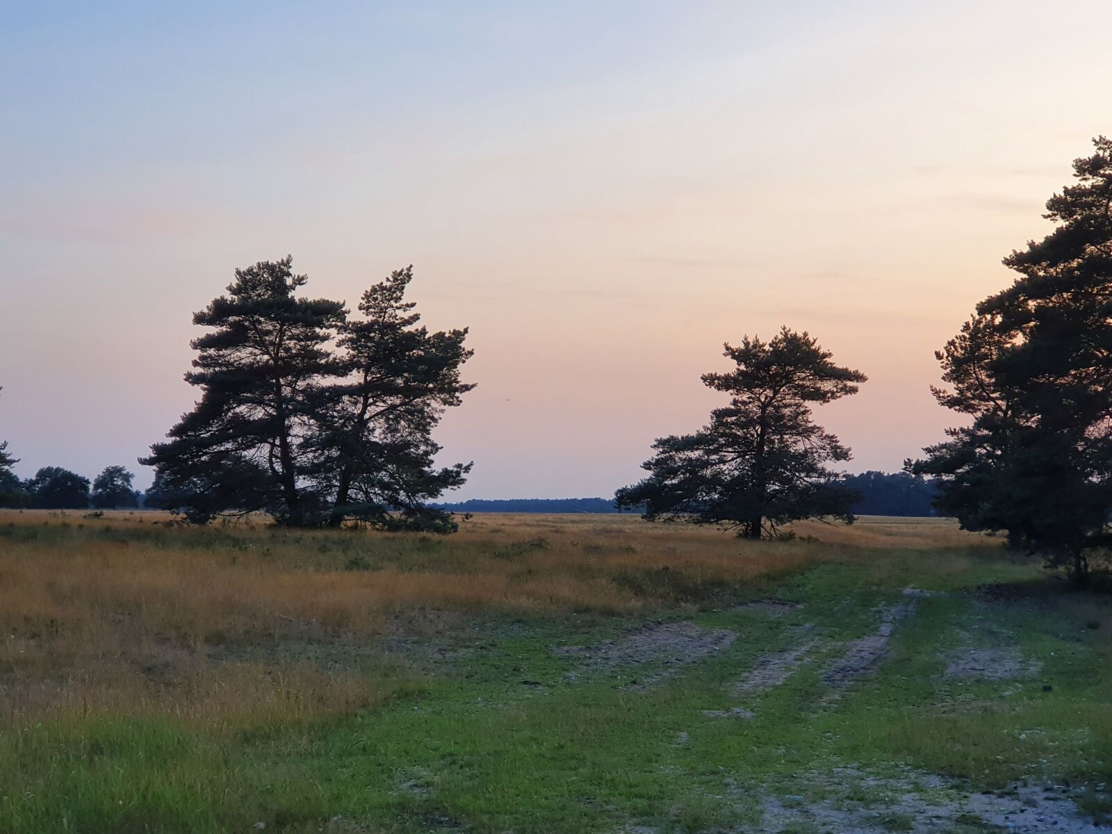 Samsung Galaxy S10 sample photo. Landscape, twilight, evening photography