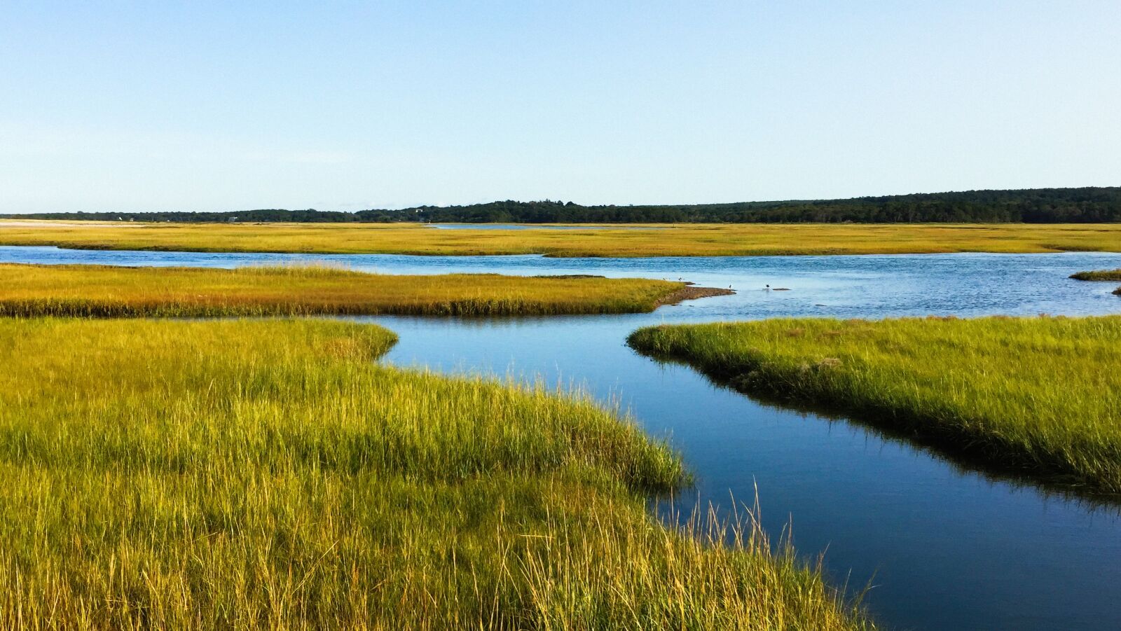 iPhone 6 Plus back camera 4.15mm f/2.2 sample photo. Salt marsh, cape cod photography