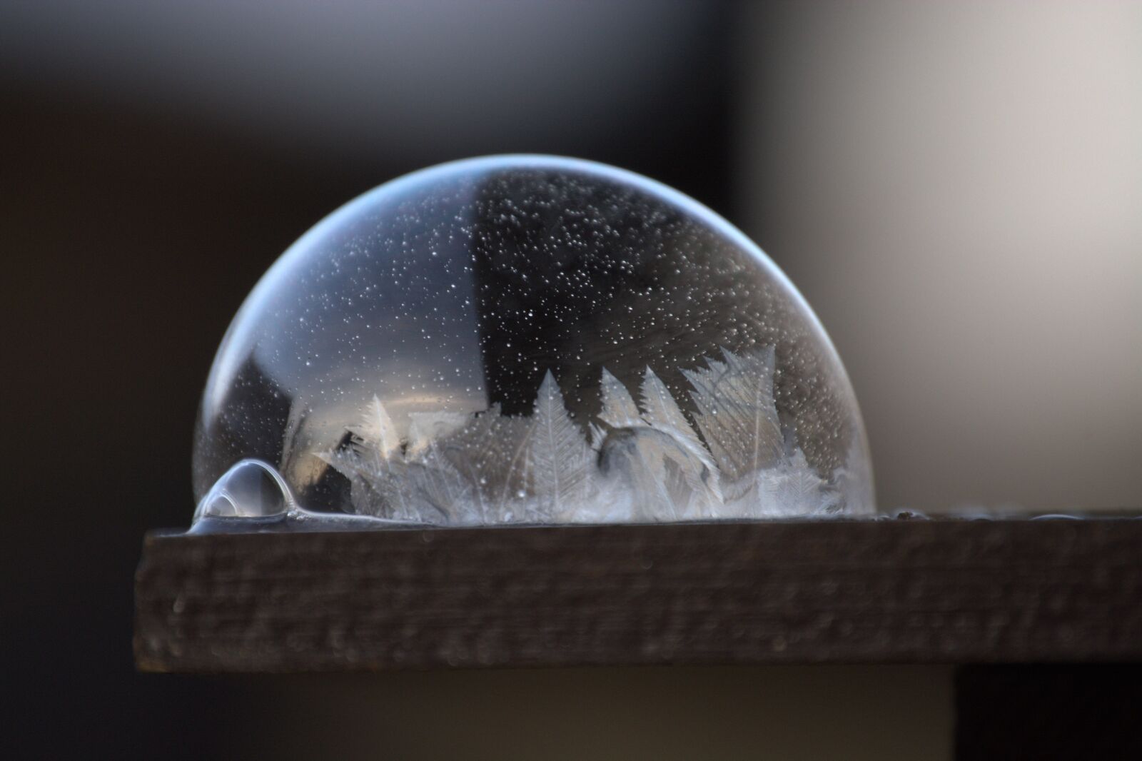 Nikon D5200 sample photo. Background, soap bubble, gerfrorene photography