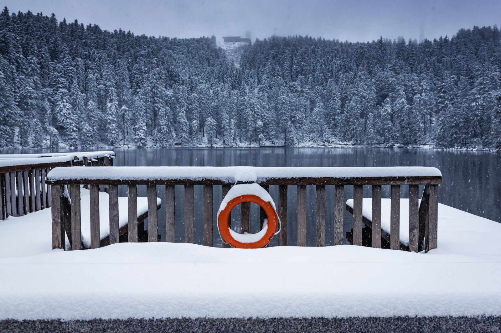 Nikon D750 sample photo. Black forest, waldsee, winter photography