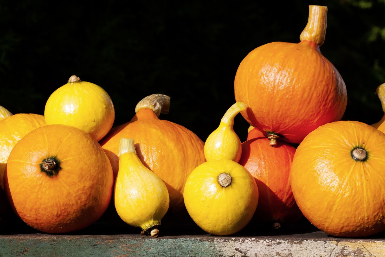 Canon EOS 50D sample photo. Pumpkin, hokkaido, vegetables photography