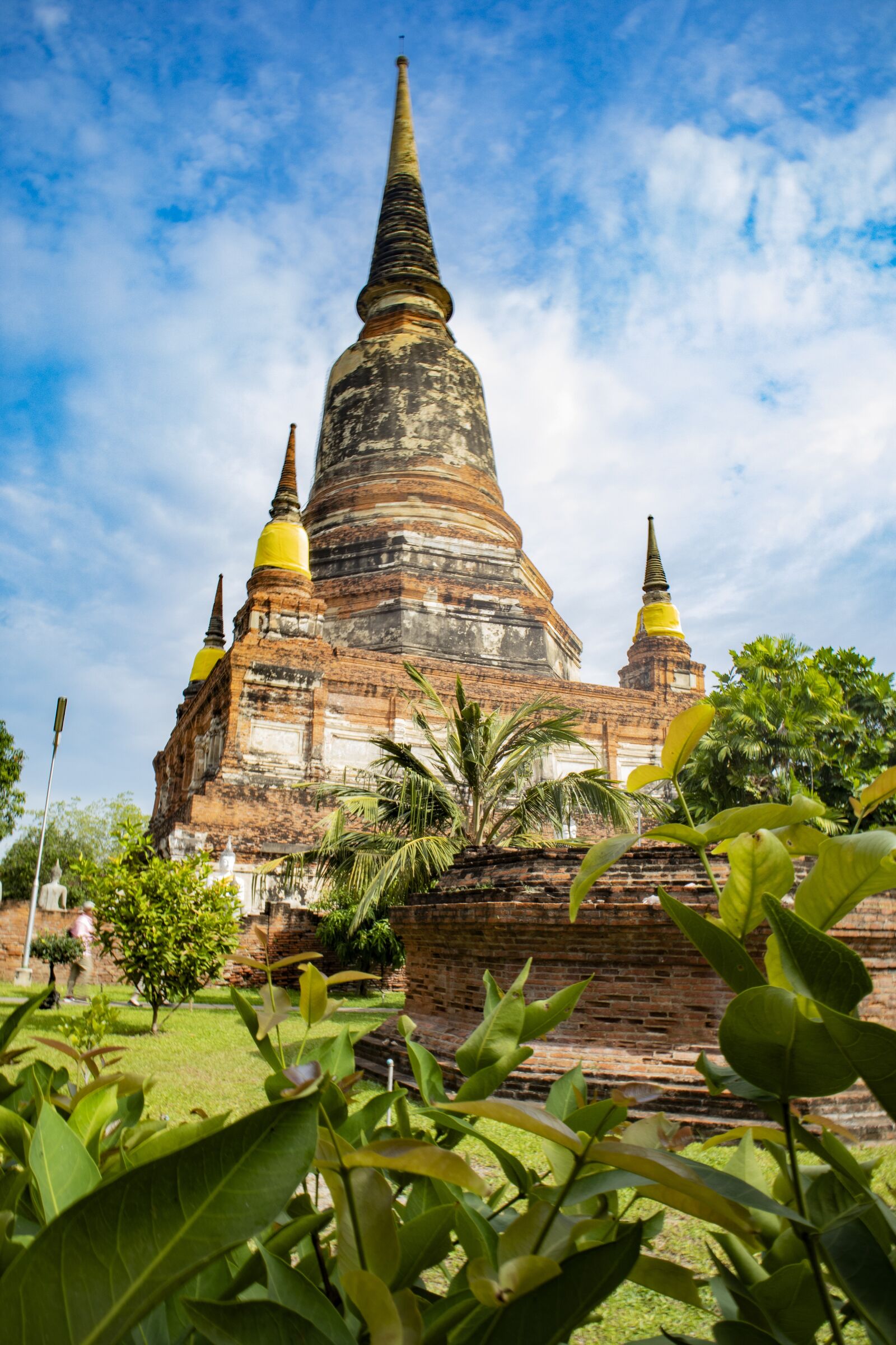 Canon EOS M100 sample photo. Temple, thailand, palm photography