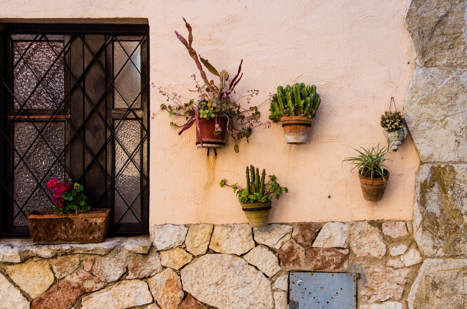 Nikon D7000 sample photo. Window, cactus, plants photography