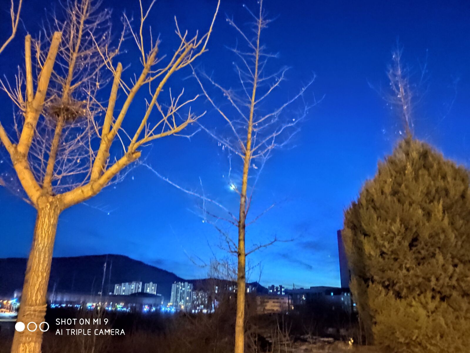 Xiaomi MI 9 sample photo. G, n, b photography