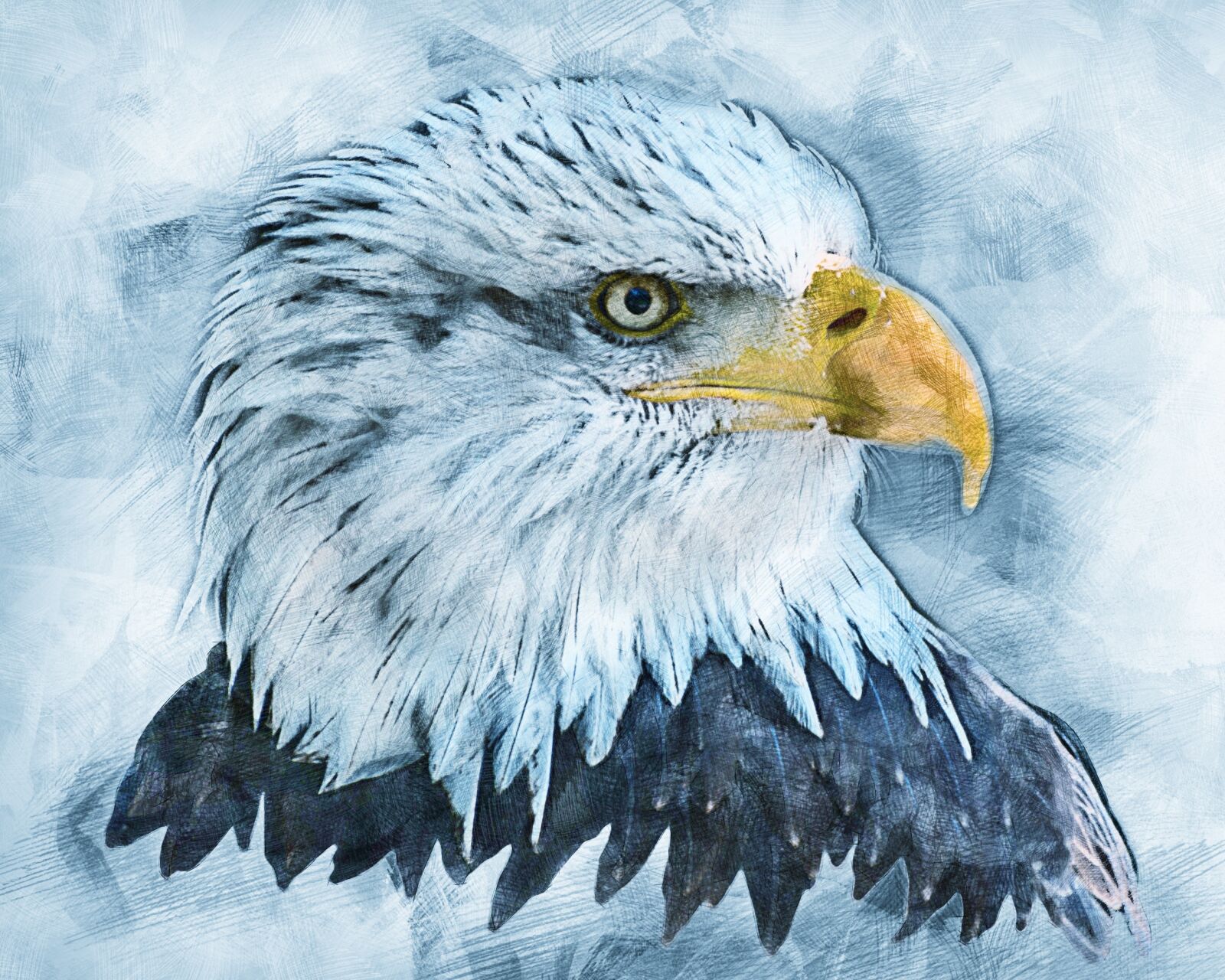 Nikon D300 sample photo. Bald eagles, bald eagle photography