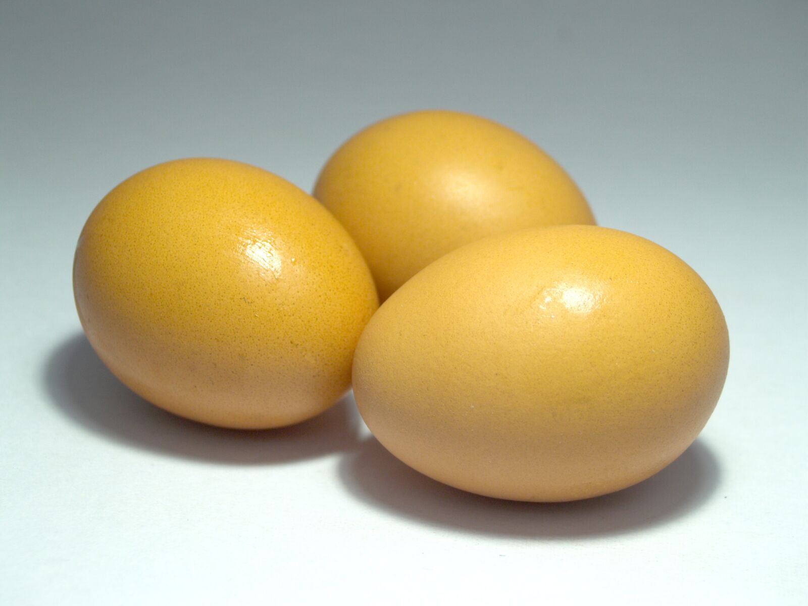 Olympus E-300 (EVOLT E-300) sample photo. Egg, pink, market photography