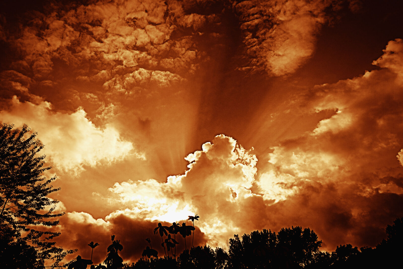 Sony Cyber-shot DSC-RX100 sample photo. Clouds, silhouette, sky, sunlight photography
