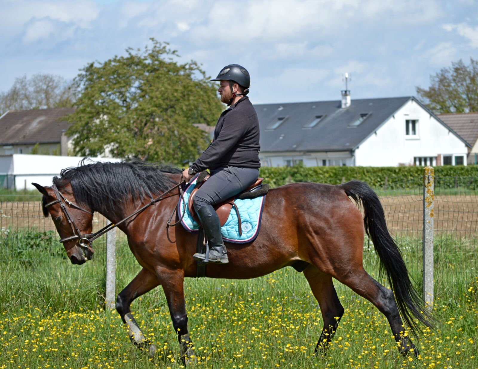 Nikon D3200 sample photo. Horse, man, color photography