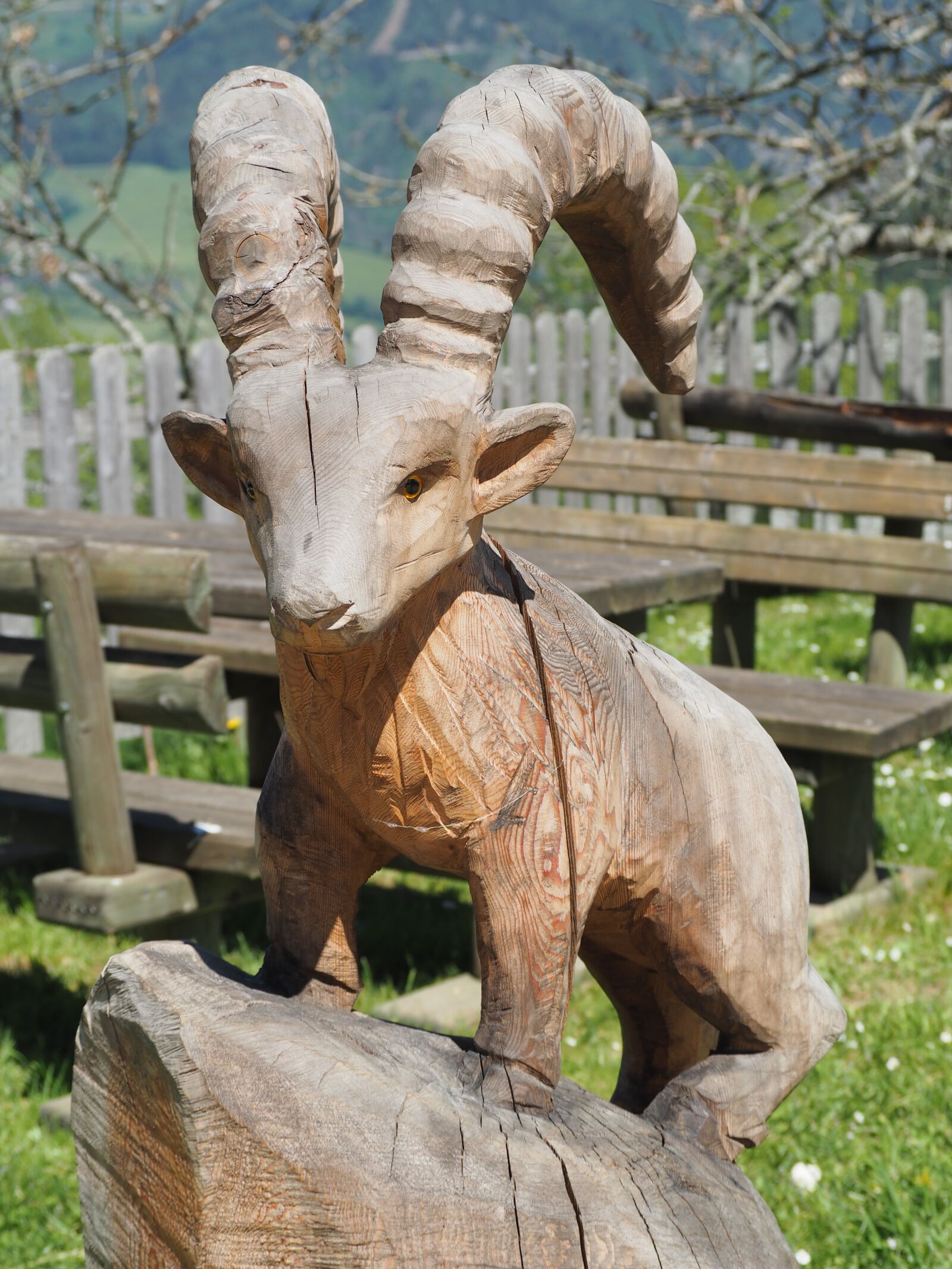Olympus OM-D E-M10 sample photo. Goat, wood, carving photography