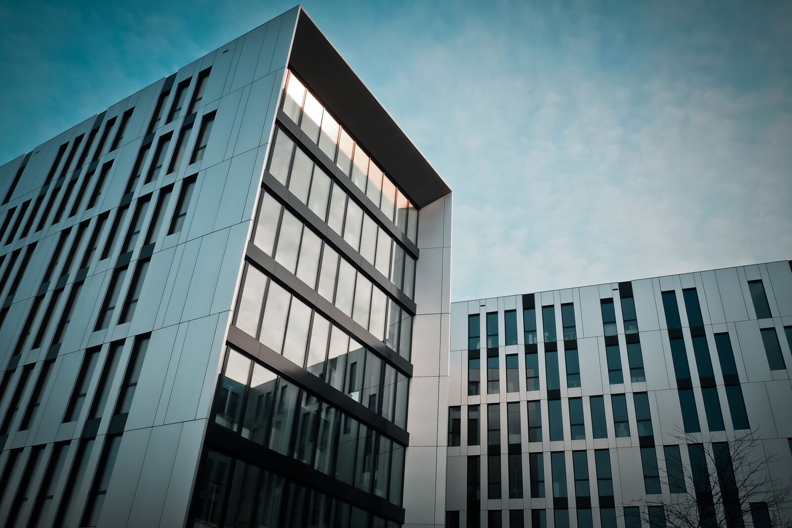Olympus OM-D E-M10 sample photo. Glass, architecture, office photography