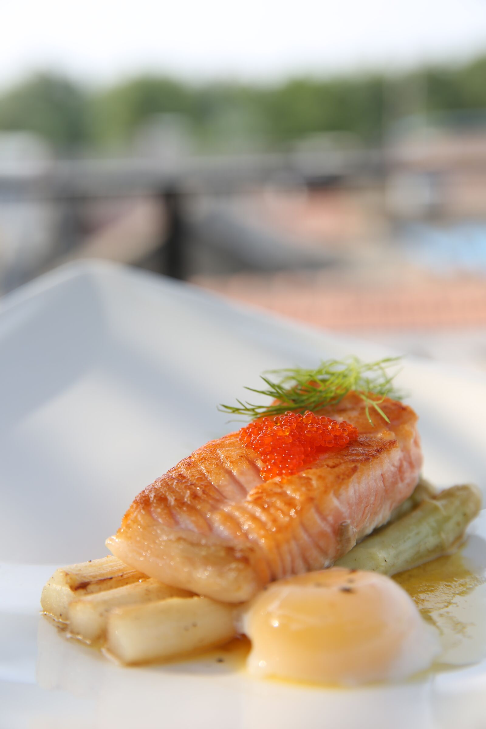 Canon EF 24-70mm F2.8L II USM sample photo. Variety, cuisine, cooking photography