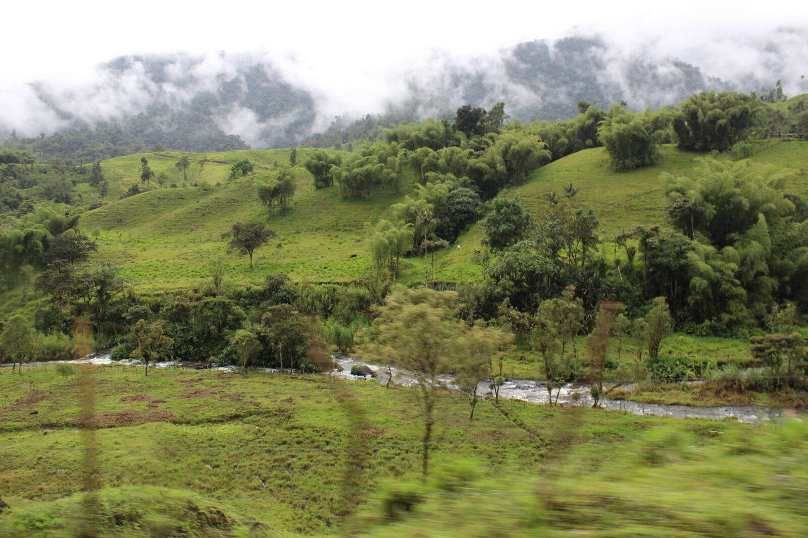 Canon EOS 600D (Rebel EOS T3i / EOS Kiss X5) sample photo. Calm, clouds, forest, hiking photography