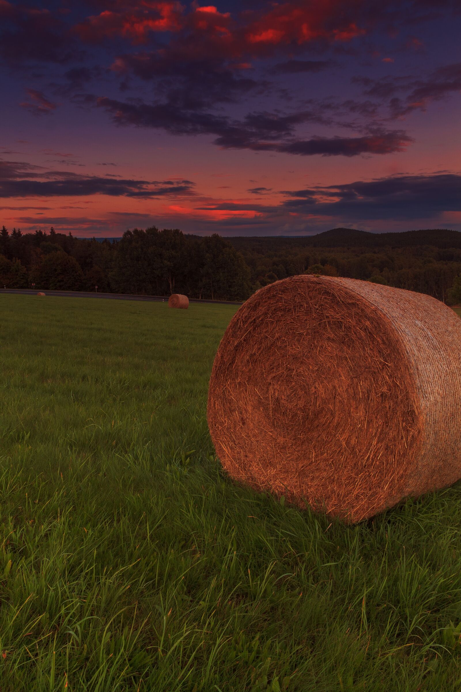 Canon EOS 1100D (EOS Rebel T3 / EOS Kiss X50) sample photo. Sunset, forest, abendstimmung photography